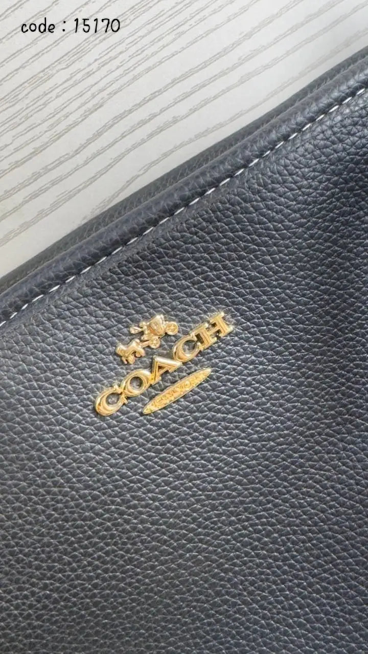 Coach Handbag L- 15170