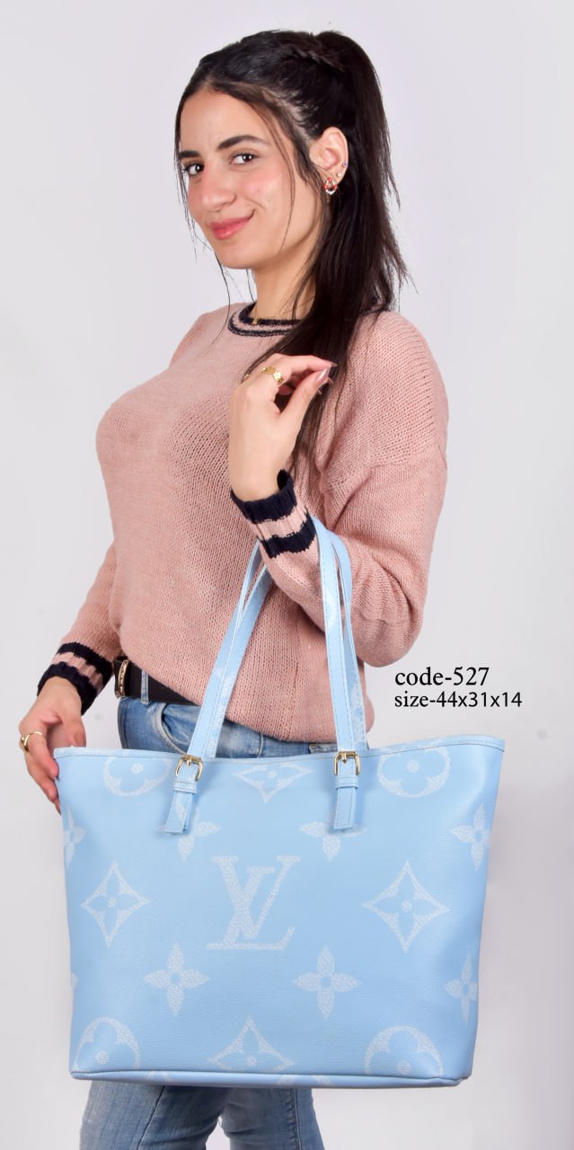 Louis Vuitton Handbag F- 527 L