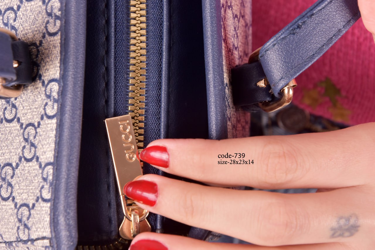 GUCCI Handbag F- 739