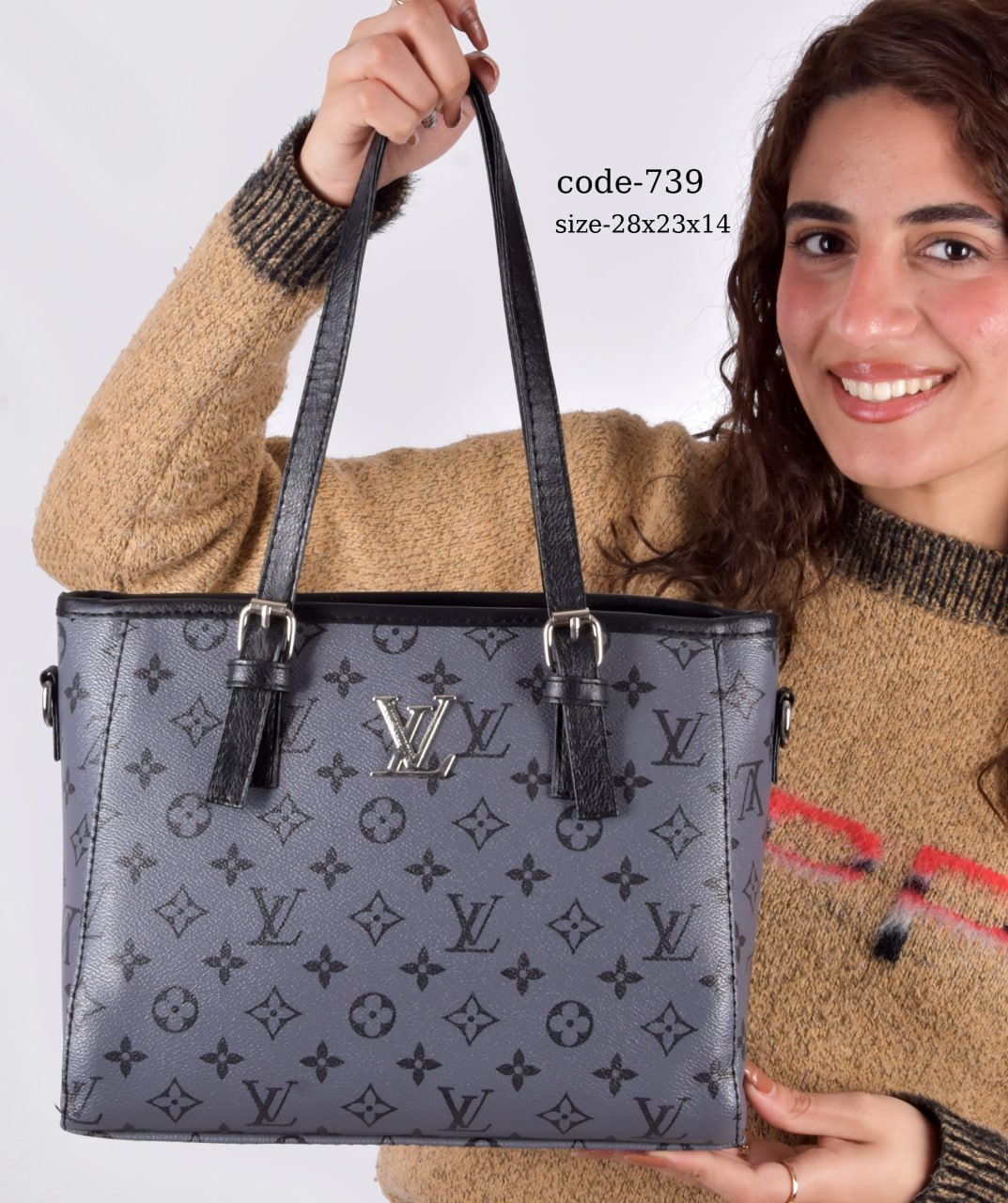 Louis Vuitton Handbag F- 739