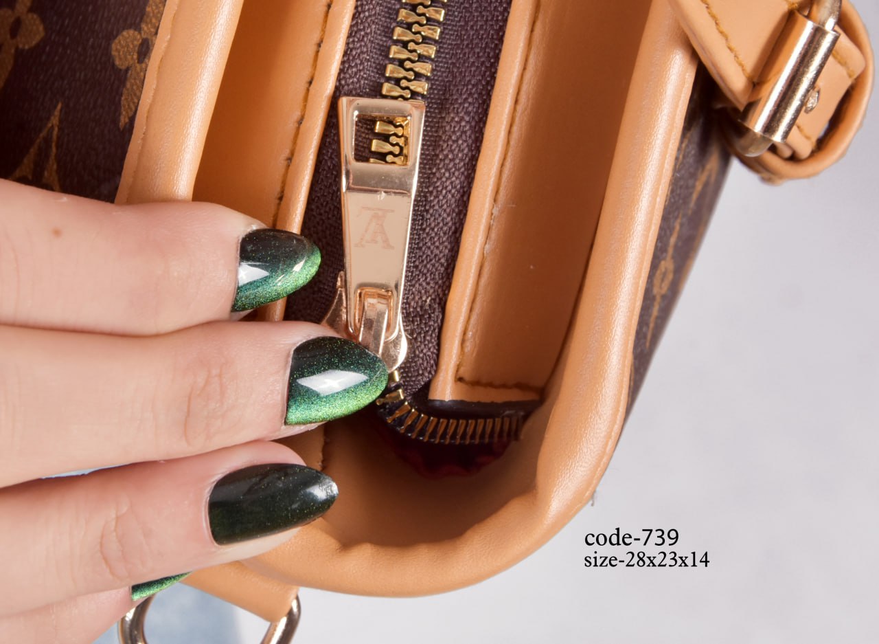 Louis Vuitton Handbag F- 739