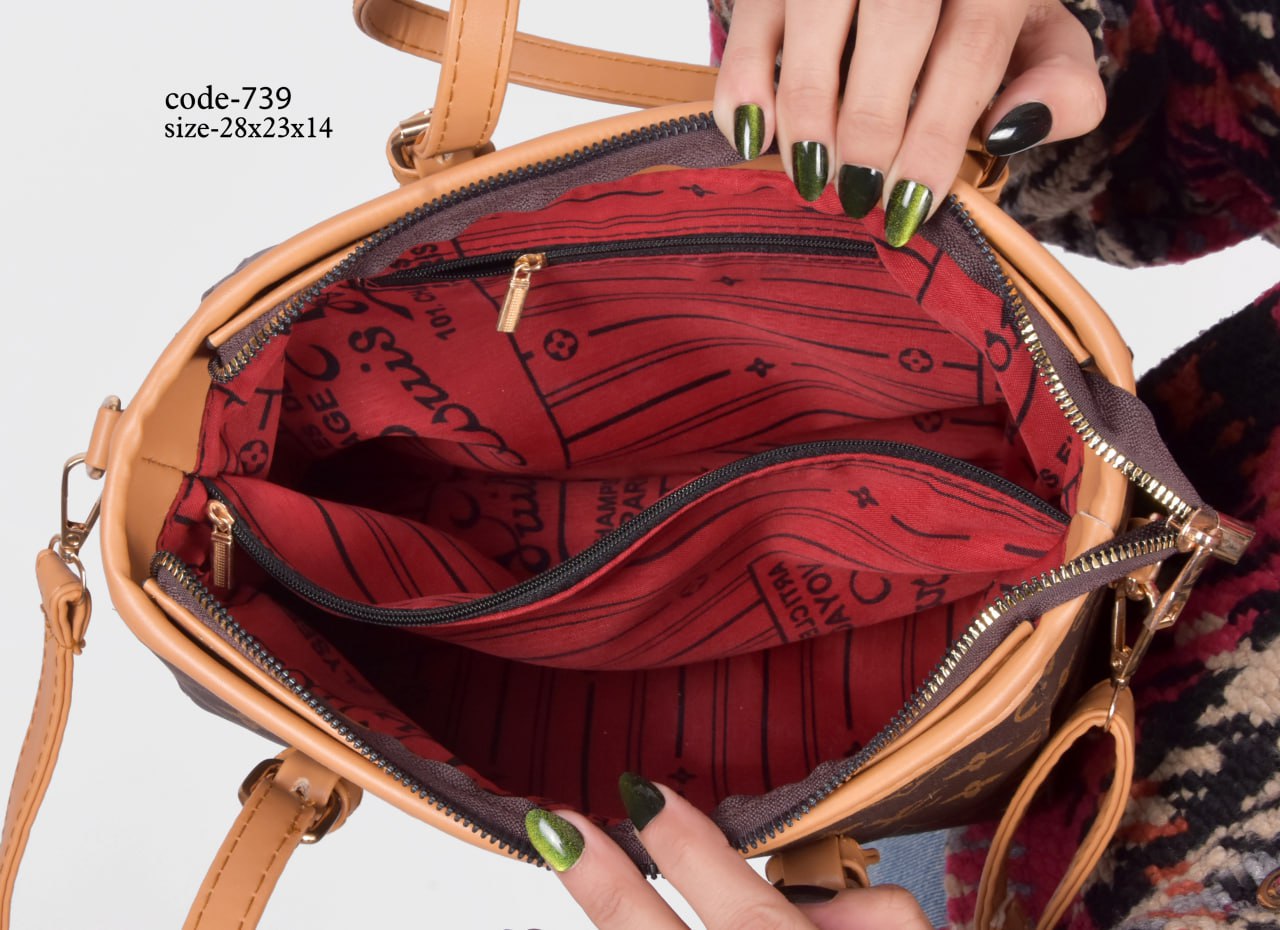 Louis Vuitton Handbag F- 739