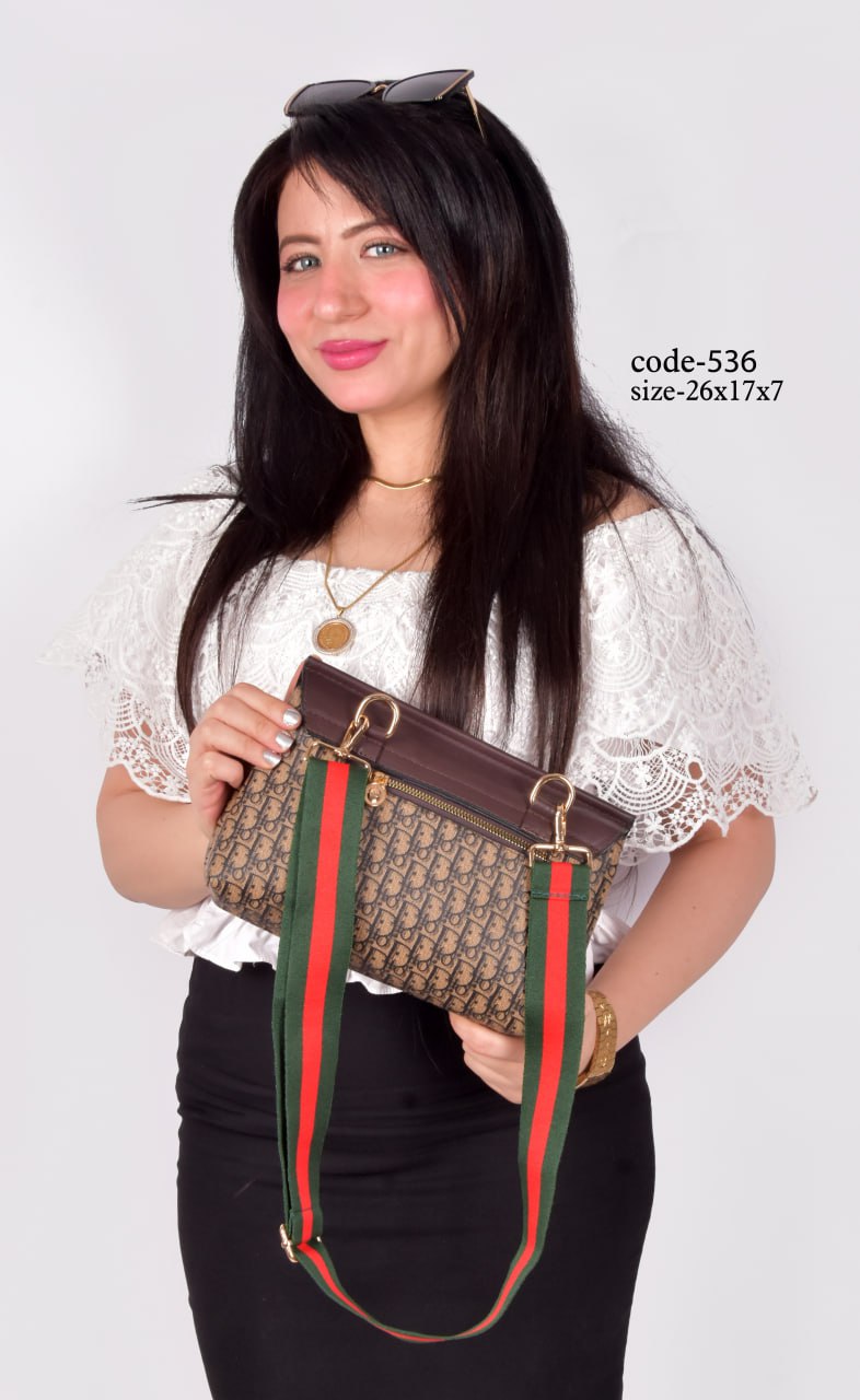 Dior Handbag F- 536