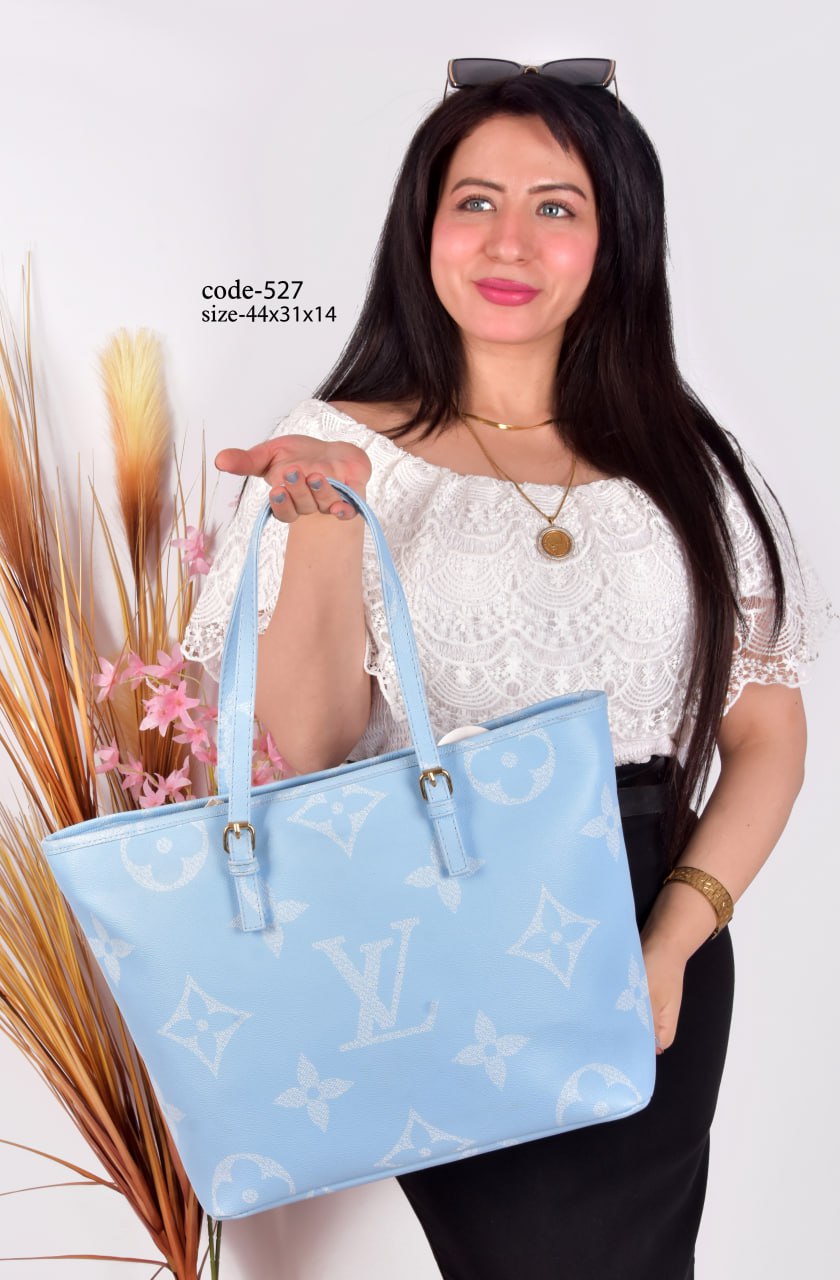Louis Vuitton Handbag F- 527 L