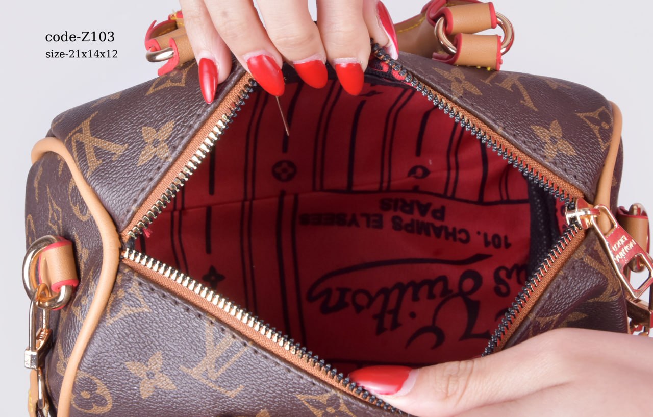 Louis Vuitton Handbag F- Z103