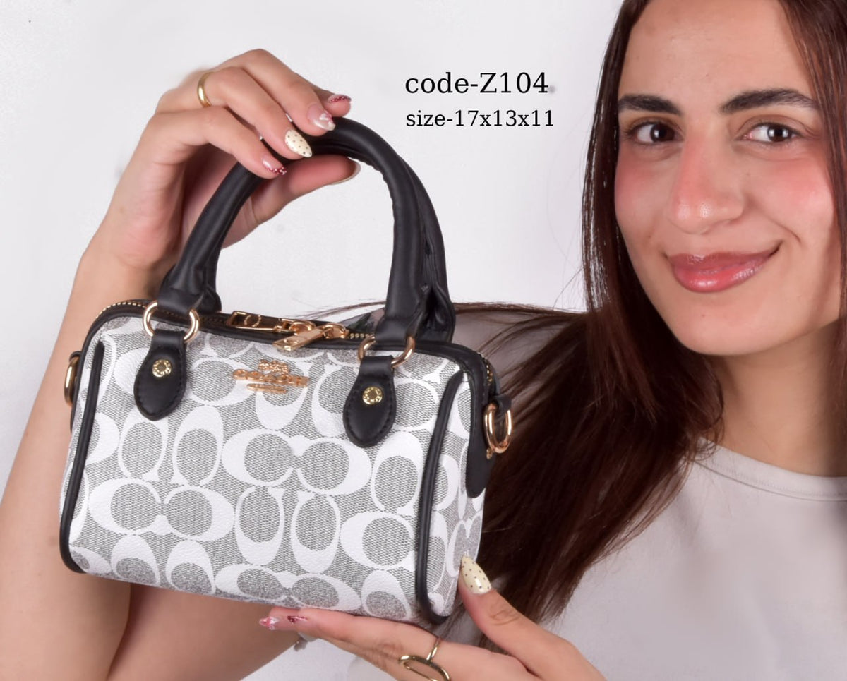 Coach Handbag F- Z104