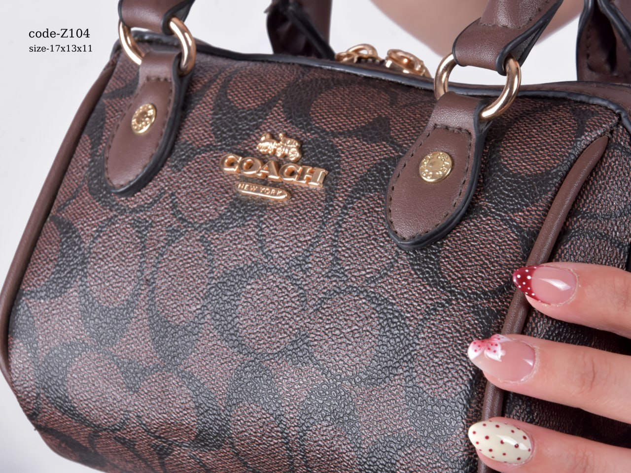 Coach Handbag F- Z104