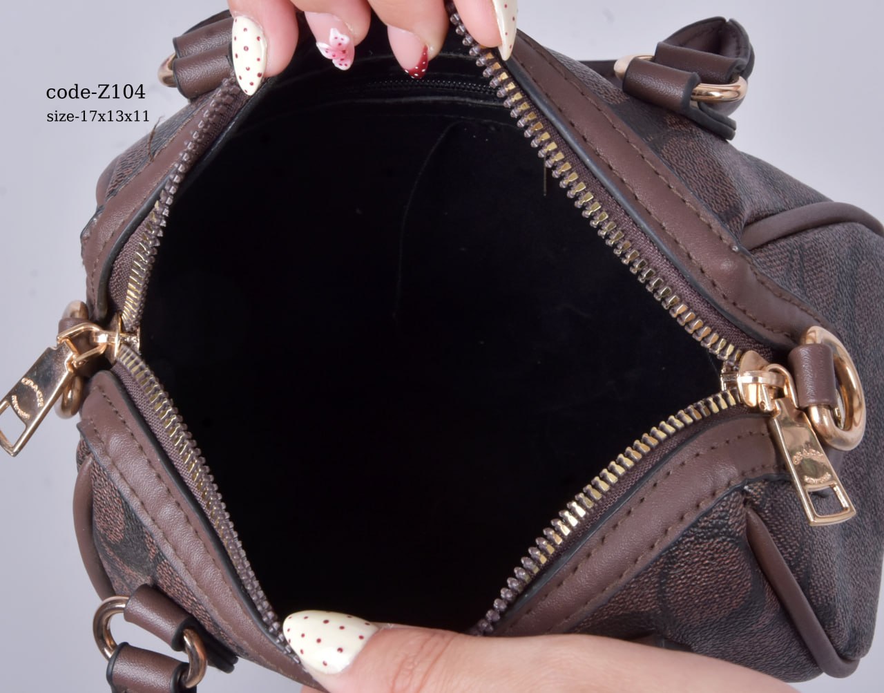 Coach Handbag F- Z104