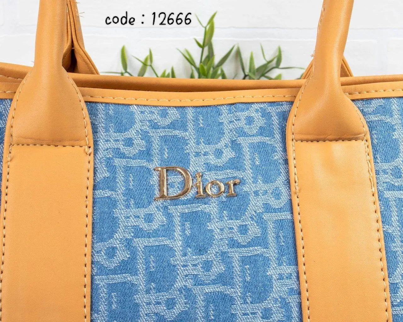 Dior Handbag L- 12666