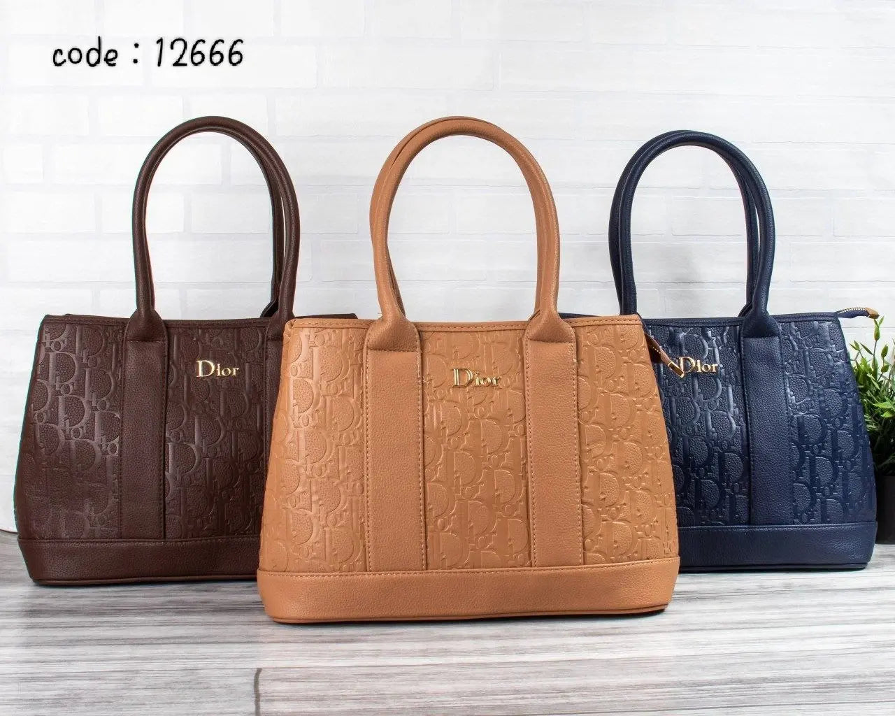 Dior Handbag L- 12666