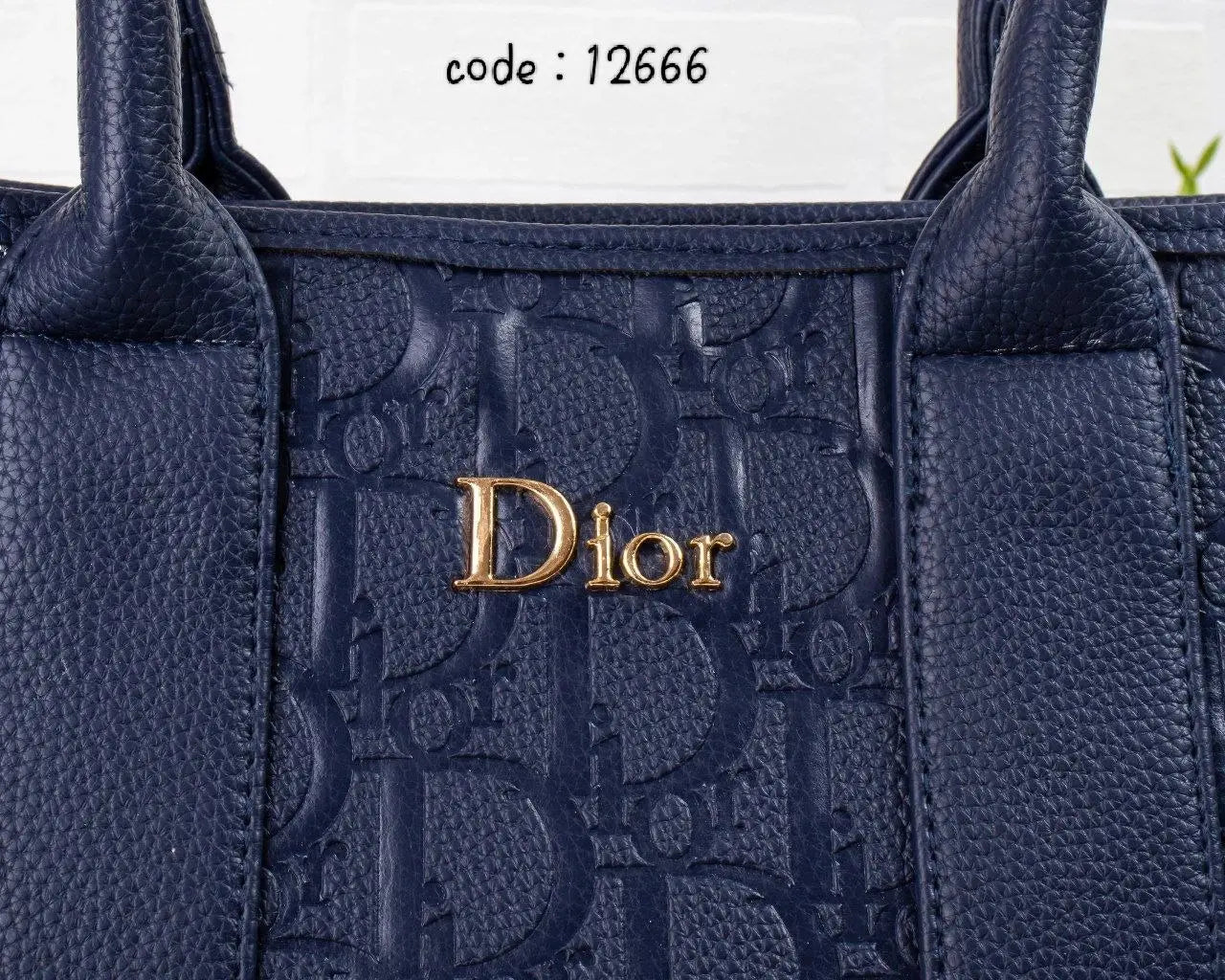 Dior Handbag L- 12666